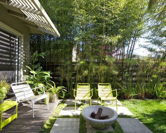 bamboo landscaping