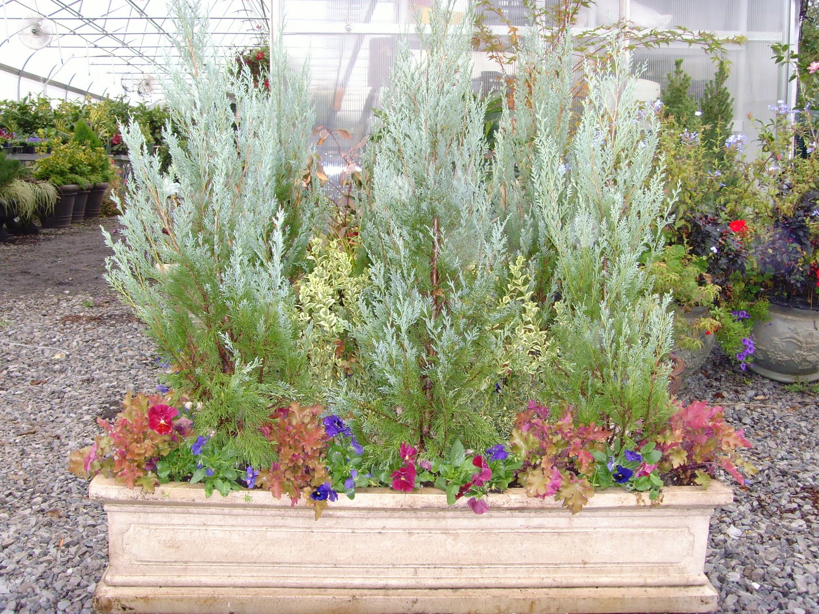 bwisegardening Fall Container Ideas