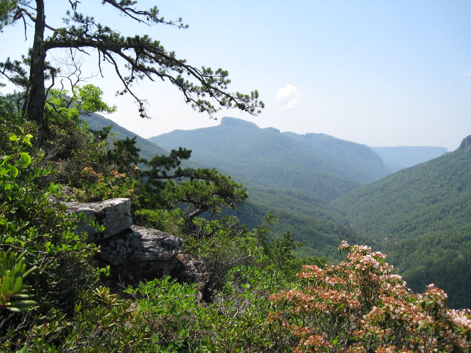 NC Weekend Getaways Hiking, Kayaking, Camping ; Dining Tips for the NC