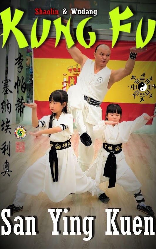 CURSO KUNG FU 五形拳 Wu Xing Quan - the 5 animals