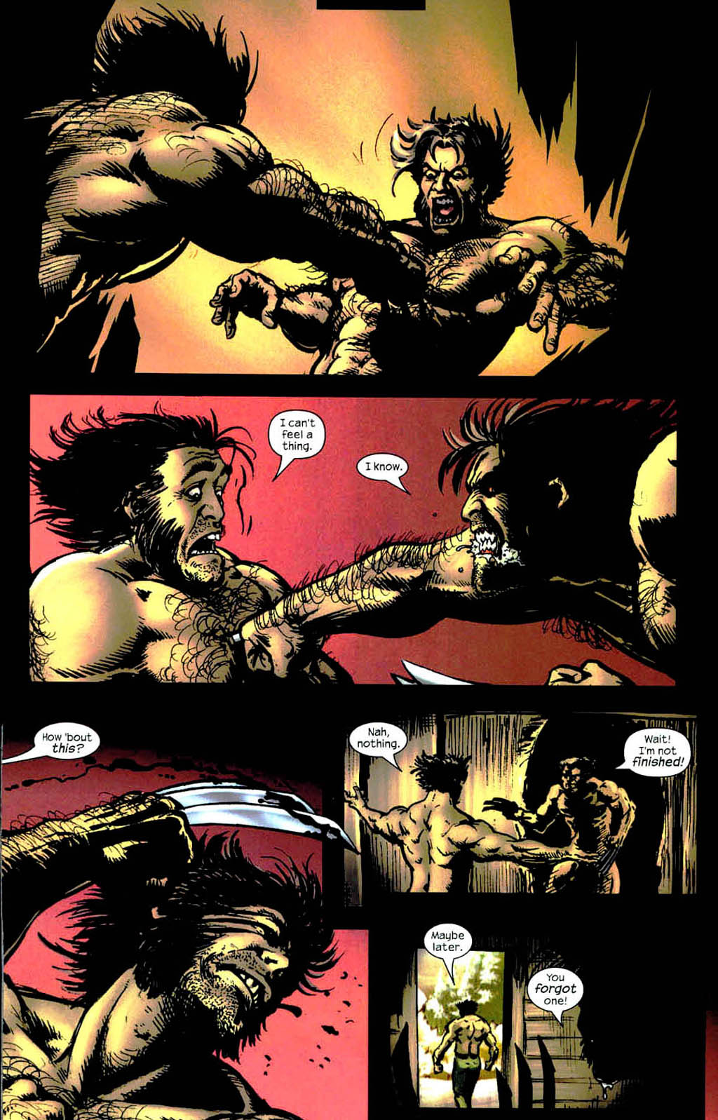 Wolverine (2003) Issue #12 #14 - English 17