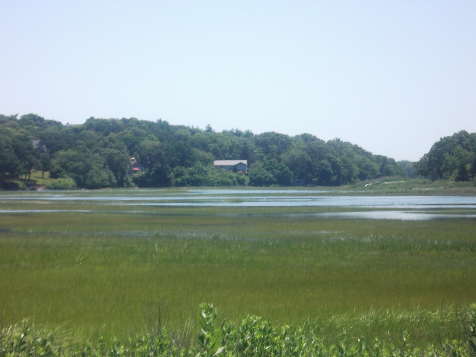 Hike Cape Cod Boyden Farm & Murkwood Conservation Area, Sandwich MA.