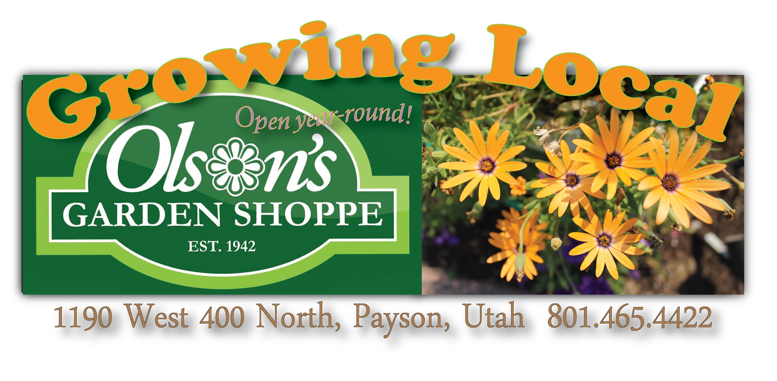 The Payson Chronicle Olson's Garden Shoppe's Houseplant Department New Varieties
