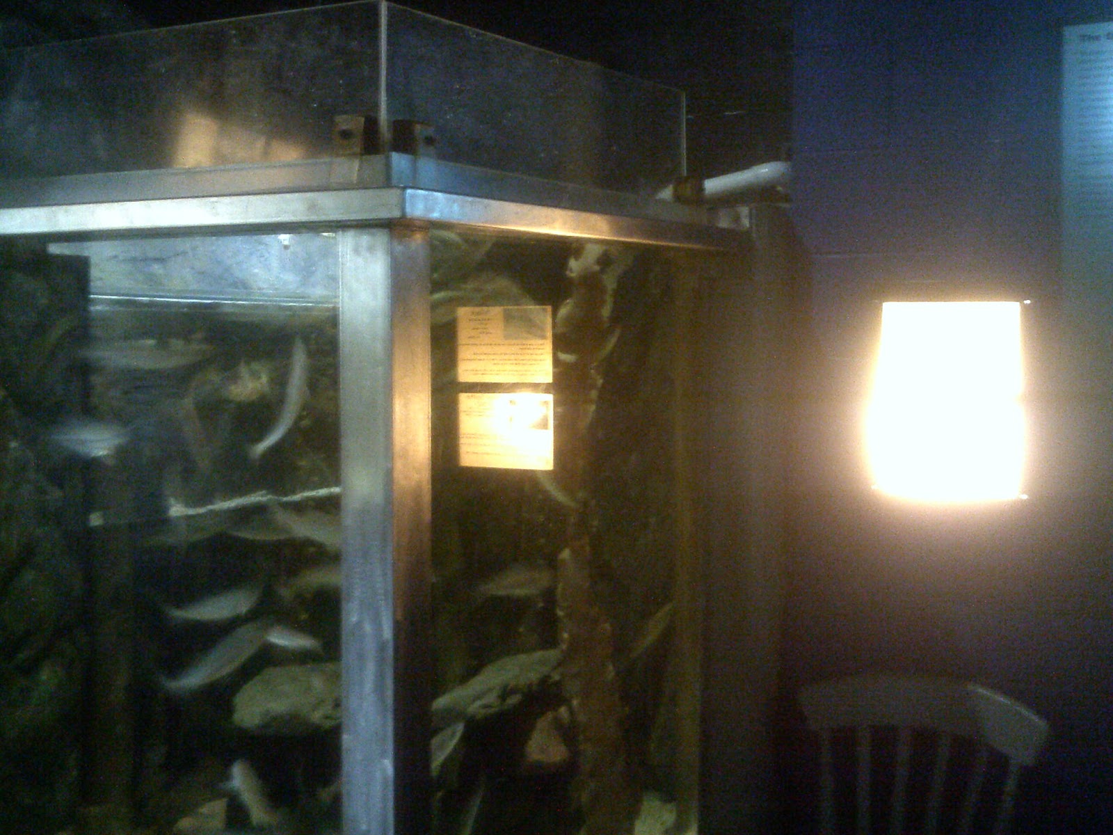 wigton physics Pepper's Ghost at Maryport Aquarium