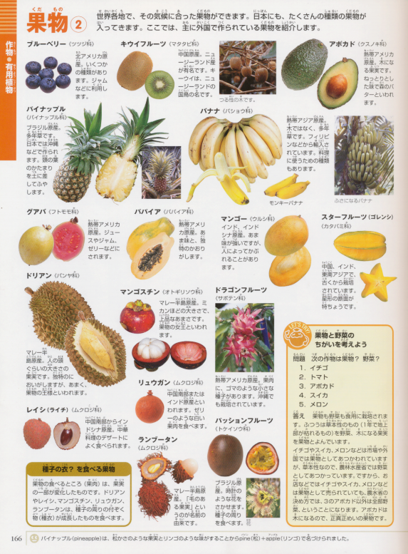 Let's Take a Look How many kind of fruits and vegetables do you know