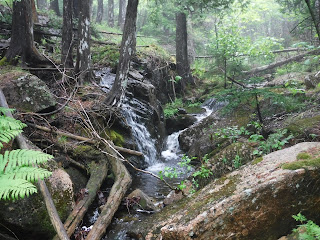 Upper Railway River Falls Cadillac Acadia