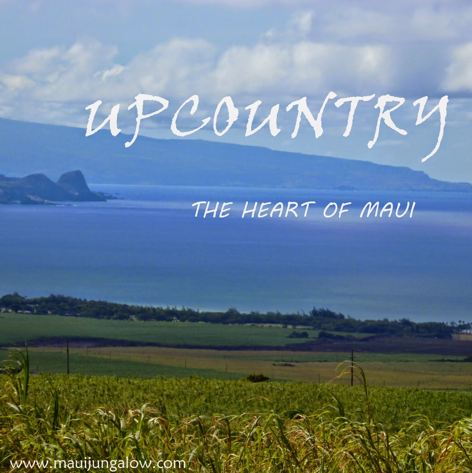 Maui Jungalow Upcountry The Heart of Maui (And Where Hobbits Would Live)