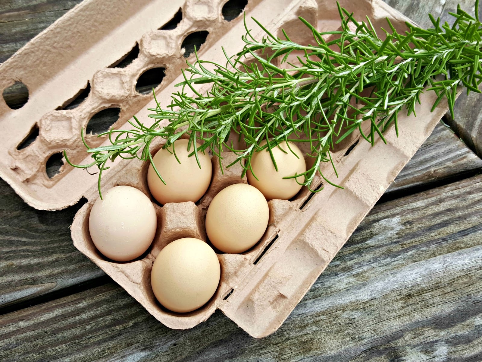 Plant a Nesting Box Herb Garden for your Chickens Fresh Eggs Daily