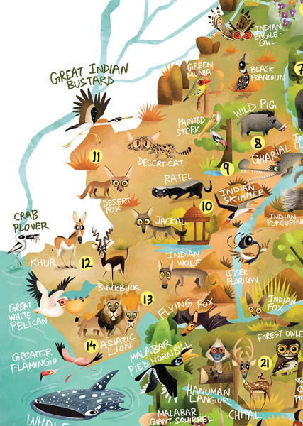 Wildlife Conservation In India Pdf
