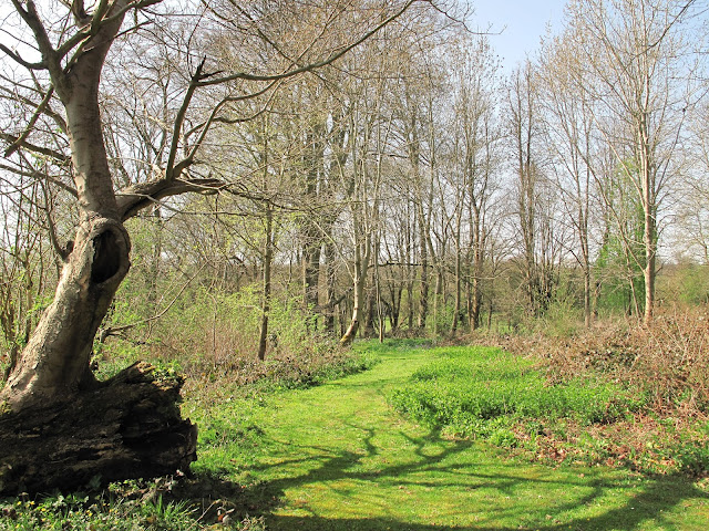Chawton House wilderness Jane loved to walk in this little wilderness – and so did we!