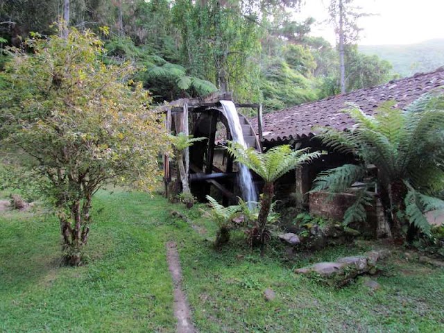 Water wheel