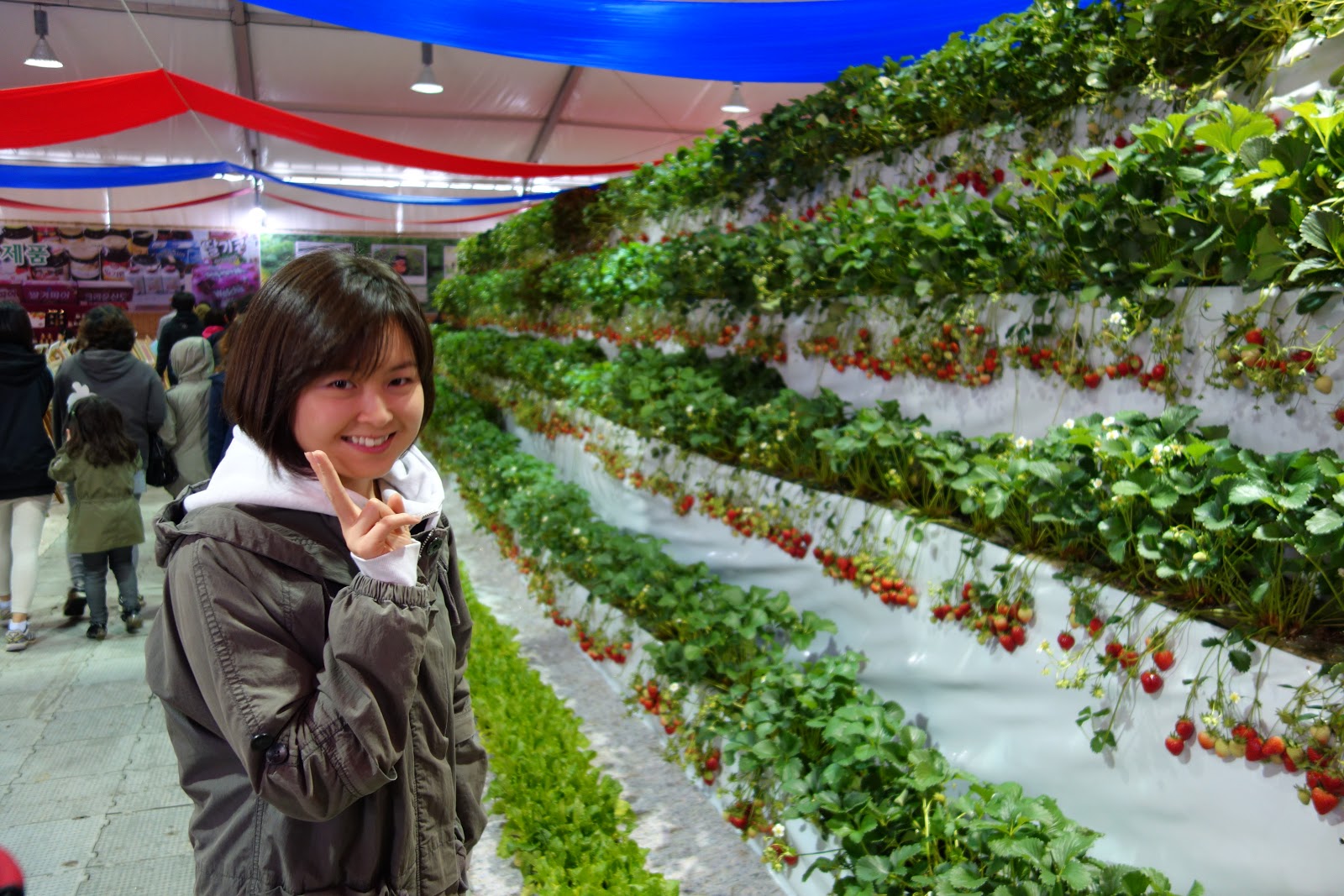 G'Day Korea Nonsan Strawberry Festival