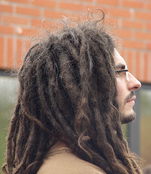 [Image: Dreadlocks.jpg]