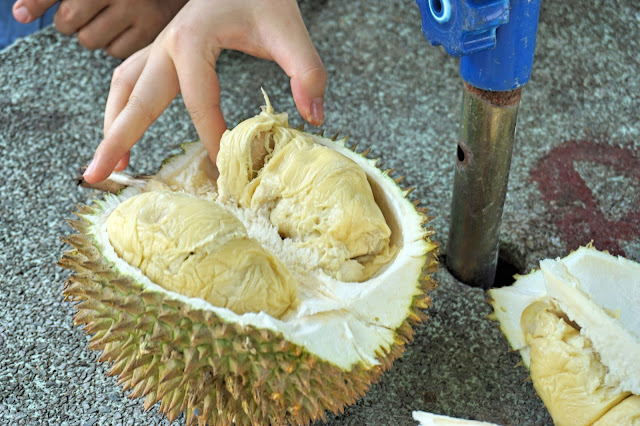 Balik Pulau Durian