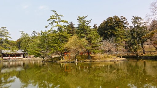 歷史背包客的筆記本 東大寺 大佛殿