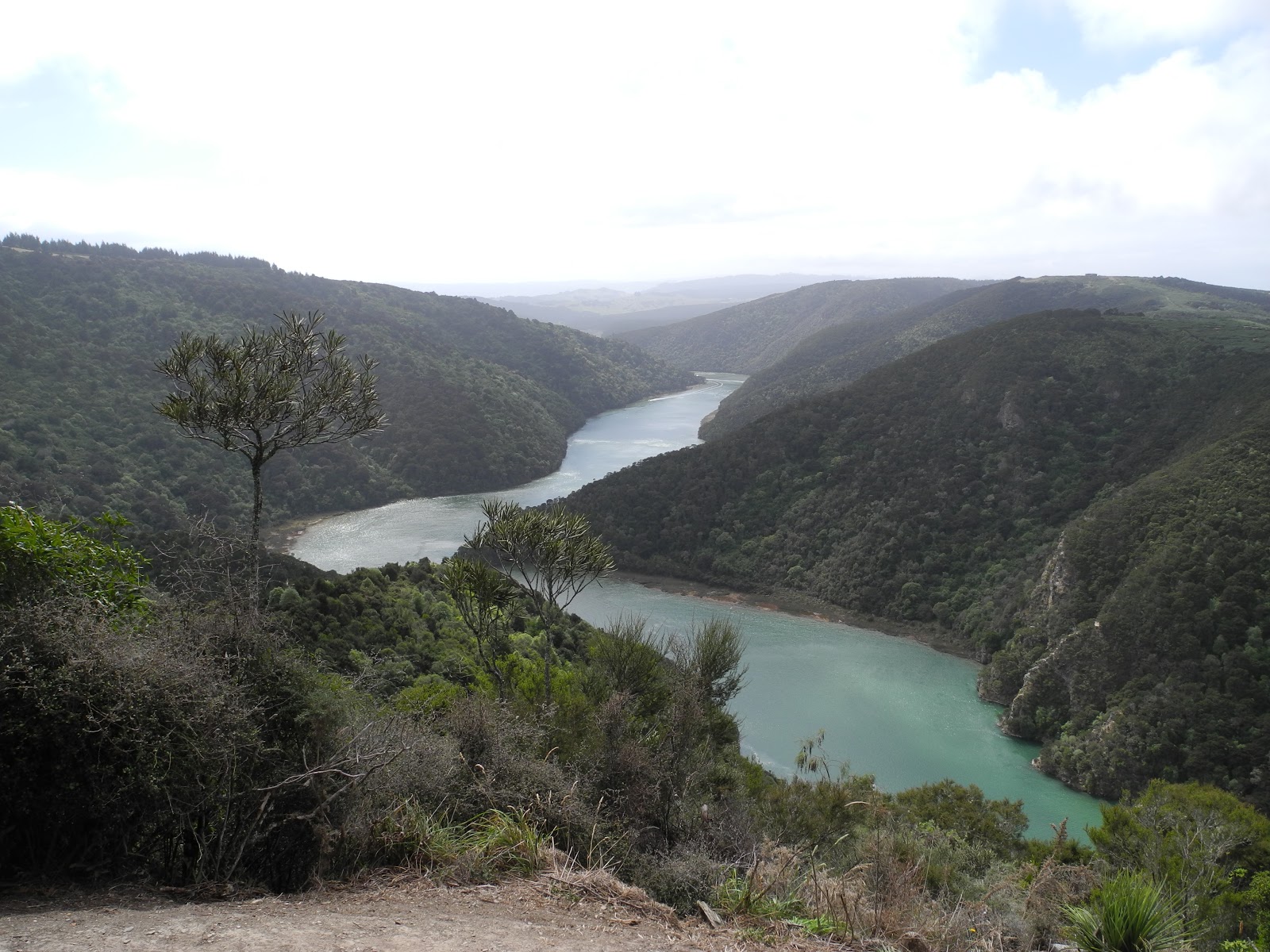 Taieri Millennium Track
