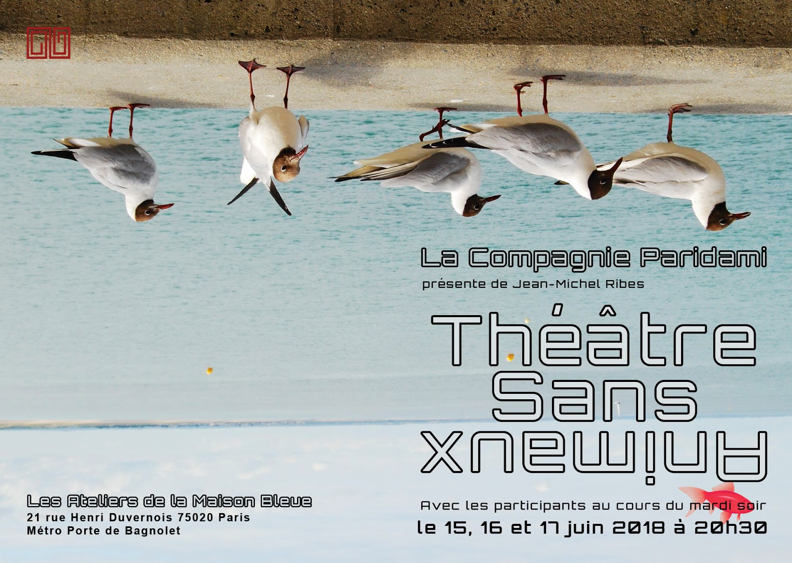 Théâtre sans Animaux Théâtre sans Animaux