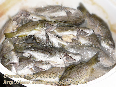 Pinangat na Ayungin sa Sampalok - Cooking Procedure