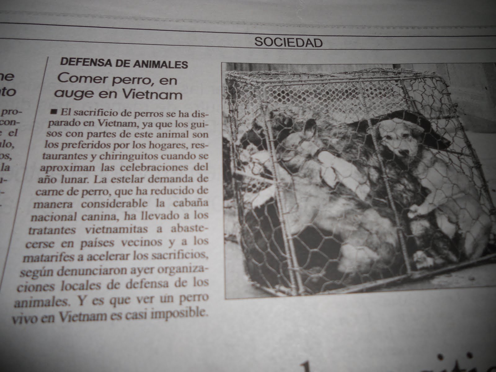 RESTAUR (+) ACcION Choque cultural o atrocidad?