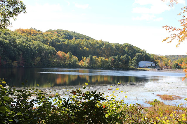 View of Lantern Hill Pond hiking the Pequot Trails #walktober The Last Green Valley