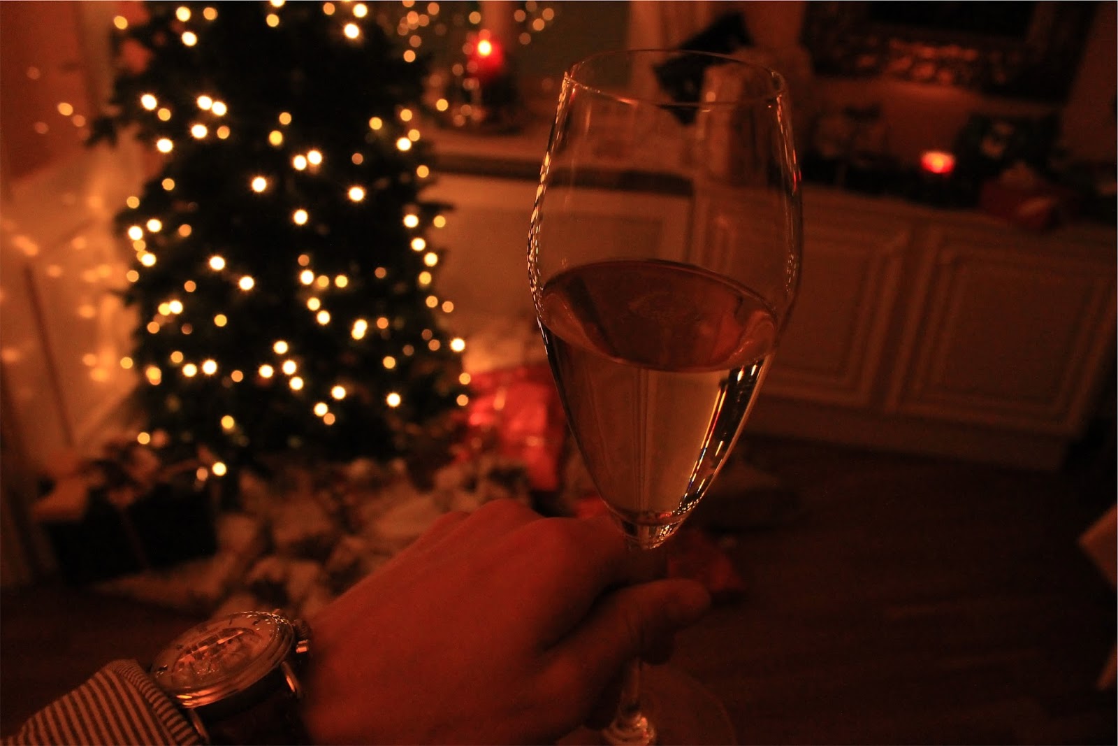 Turkey Preparation And Drinking Wine Turkey Preparation And Drinking Wine