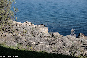Augenblicke Fotografie Ein Tag Am Frankischen Meer