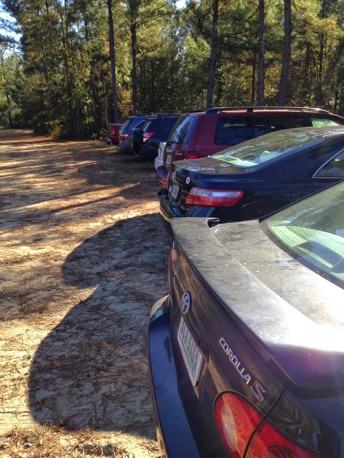 One Hopeless Wanderer Jesup, An Experiential Trial of