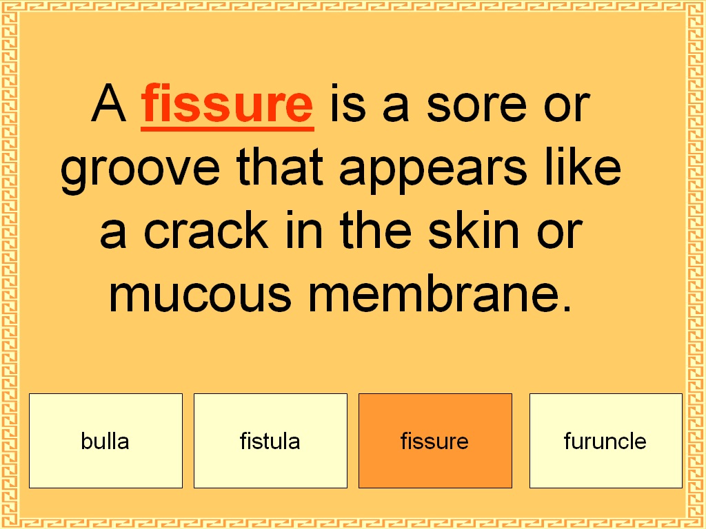 Student Survive 2 Thrive Free Medical Terminology Practice Test Skin