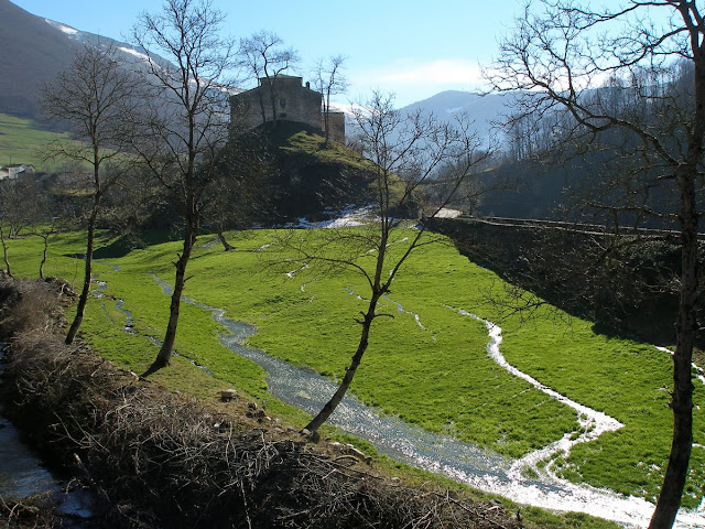 Meditación en los colegios