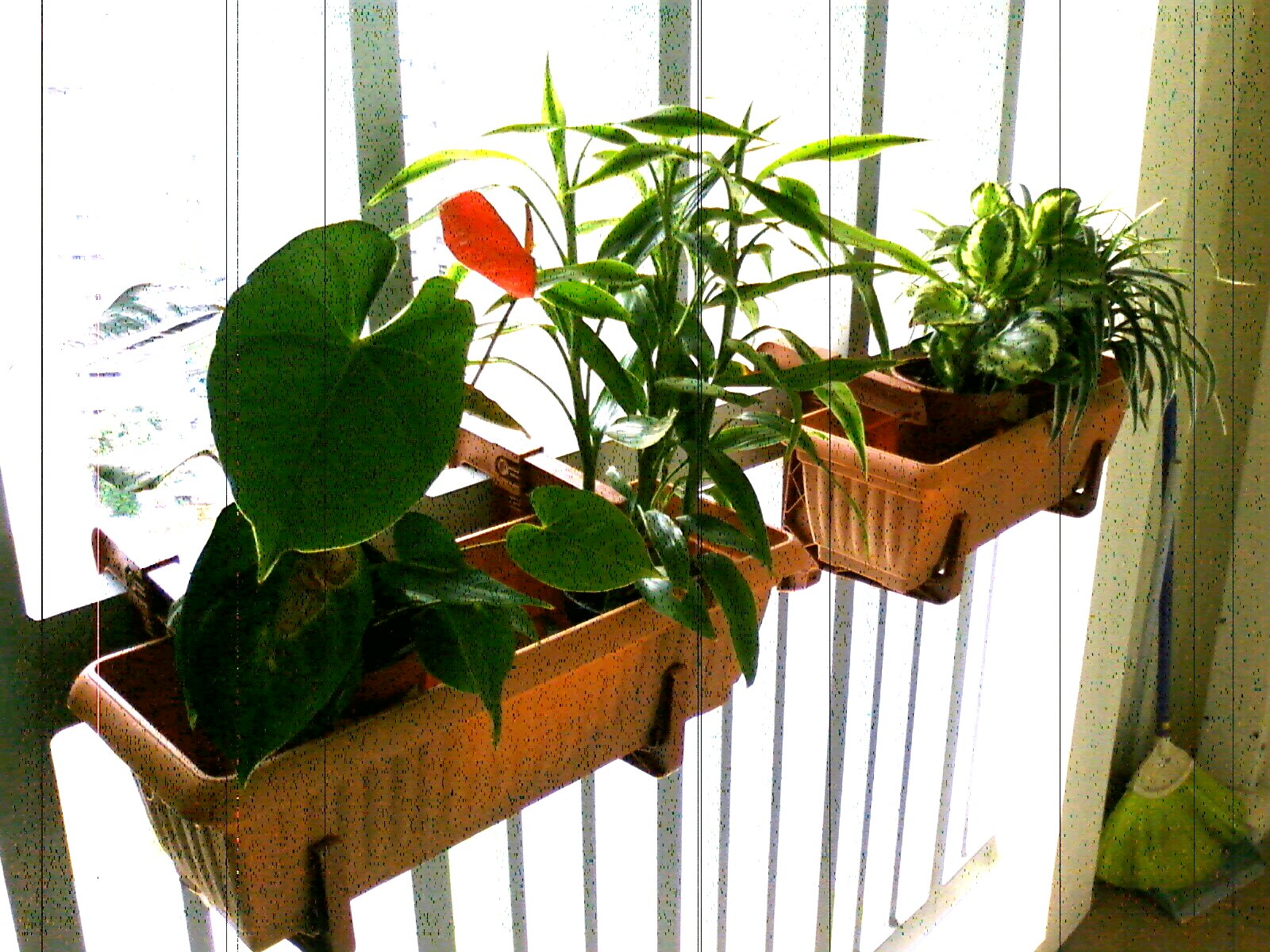 Pretty Gardens Deck Rail Planter Makes Great Small Space Gardens