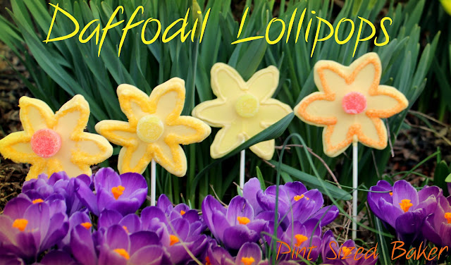 PS+Daffodil+Lollipops+(102)
