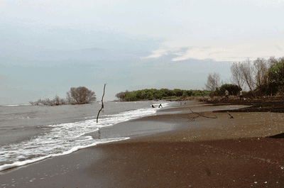Pantai Muara Beting Pantai Muara Beting