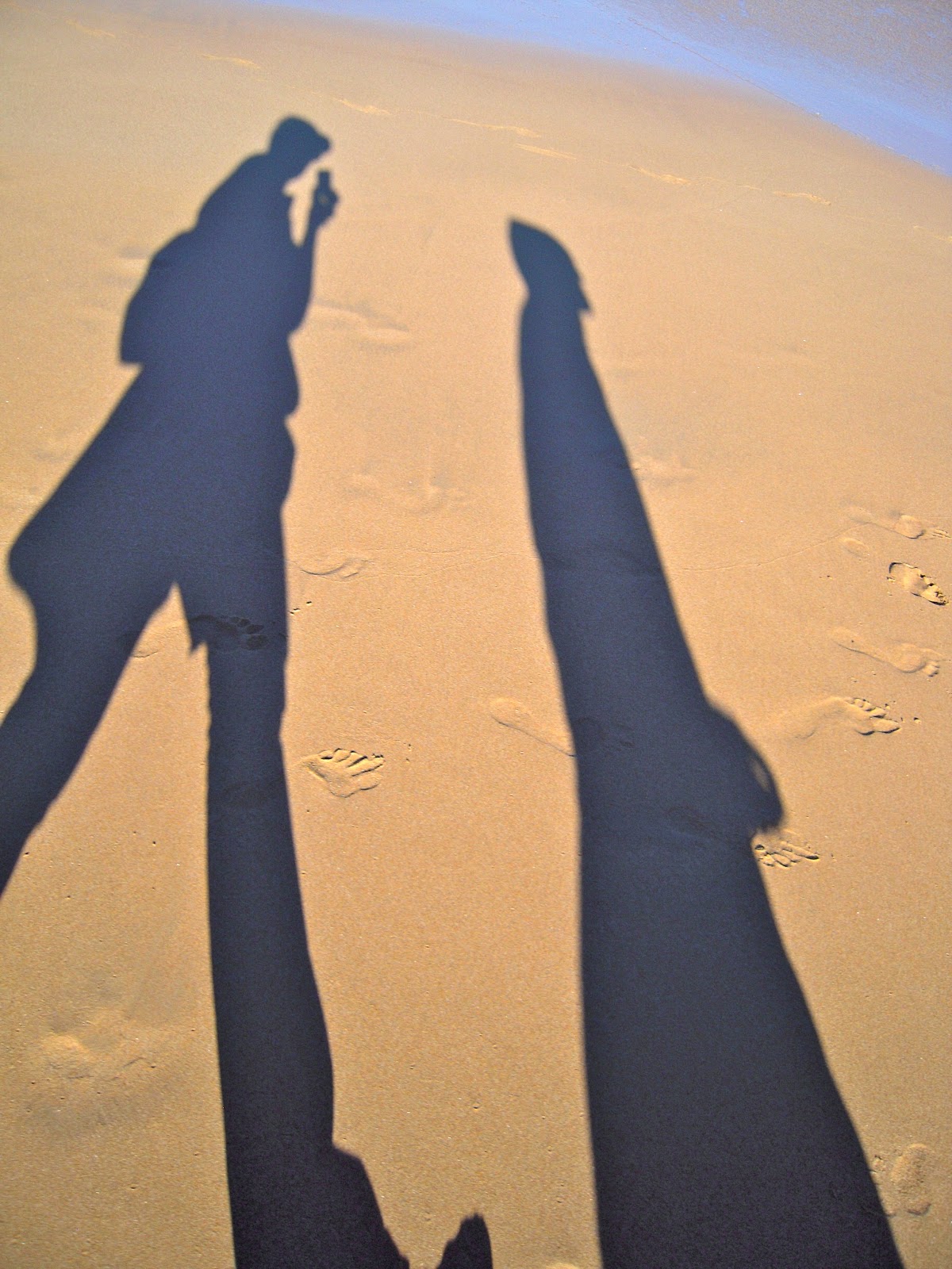 Walking Sydney