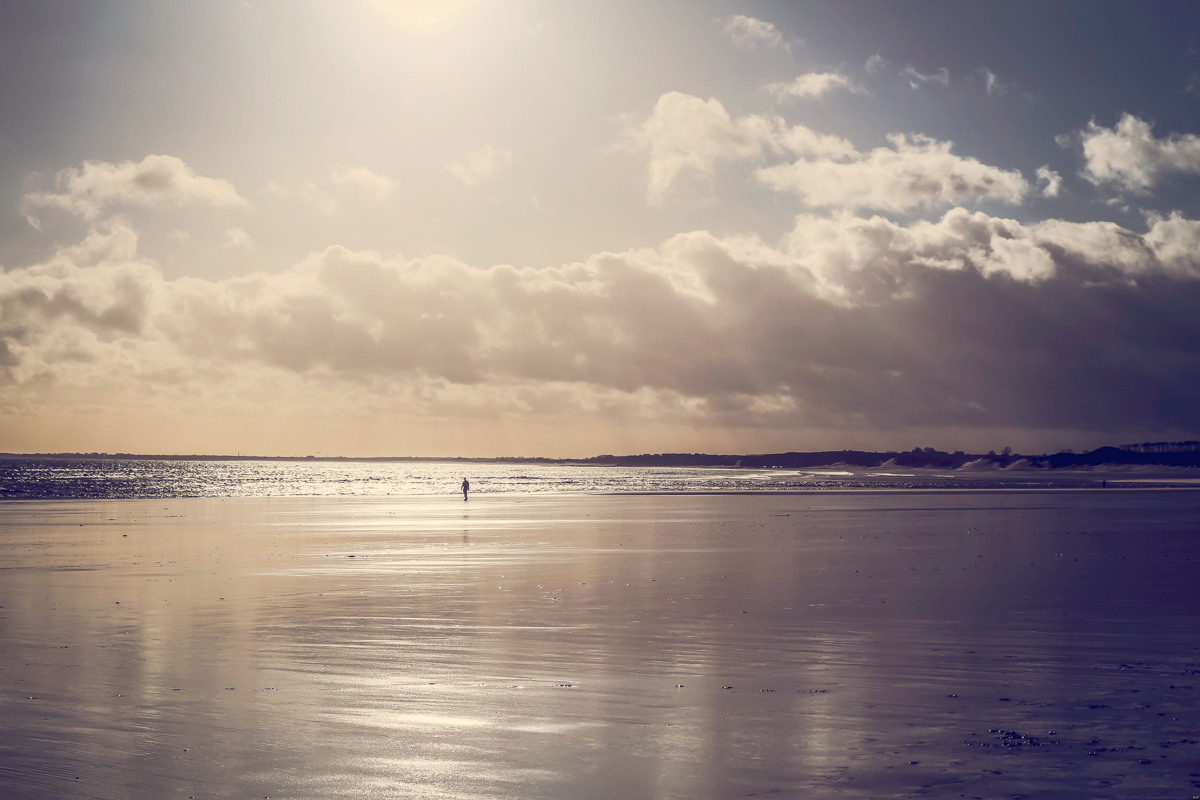 Dog Friendly Accommodation In Alnmouth Dog Friendly Accommodation In Alnmouth