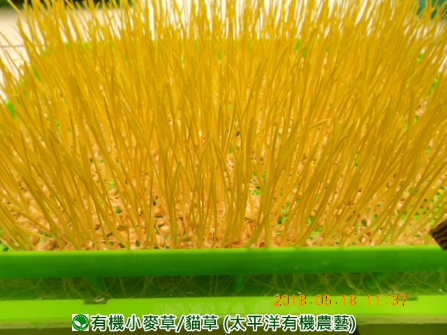 �p��,�߯�ش�,�߯�شӤ�k,�߯�,�߯�O����,�߯�diy,�߯�p����,�߯����,�^�K���@�k,�ؿ߯�