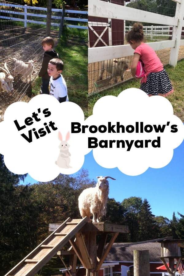 Let S Visit Brookhollow S Barnyard In Boonton Township Nj The