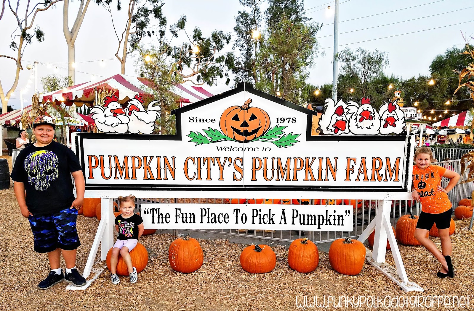 Funky Polkadot Giraffe Fall Fun and Wristband Fundraiser at Pumpkin