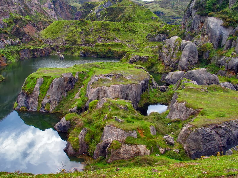 MEATZALDE GOIKOA LA ARBOLEDA El parque
