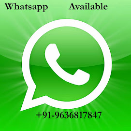 Whatsapp Service