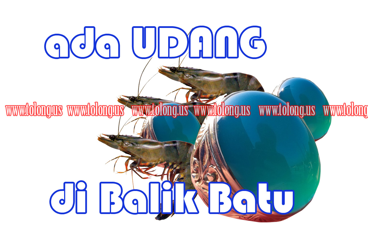 Peribahasa Umpama Ada Udang Dibalik Batu KIBUSnet Peribahasa Umpama Ada Udang Dibalik Batu KIBUSnet