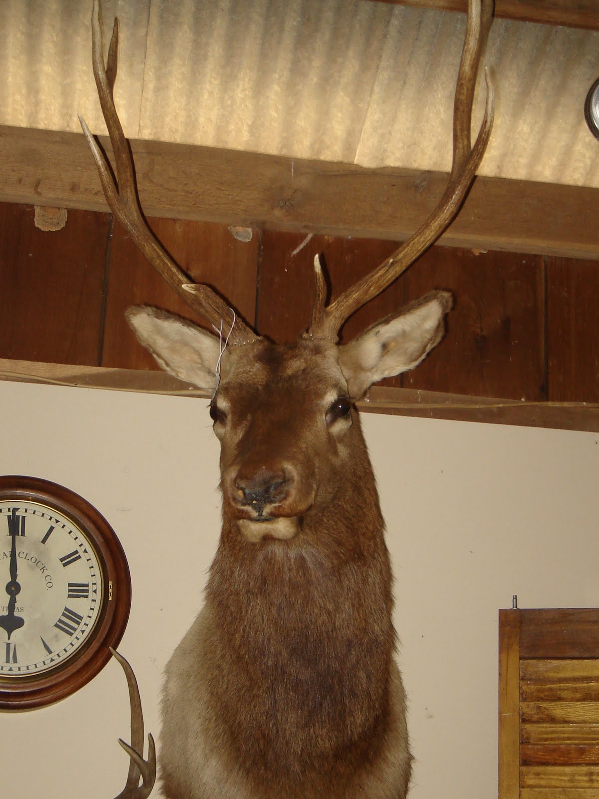 Gresham Barn Sale Deers for Your Dears!