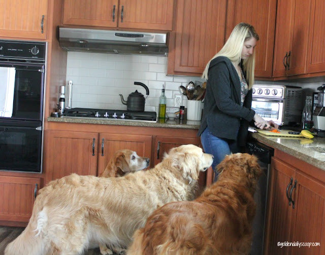 Healthy Eating is a Family Affair with the Goldens chicken soup for the soul healthy dog food