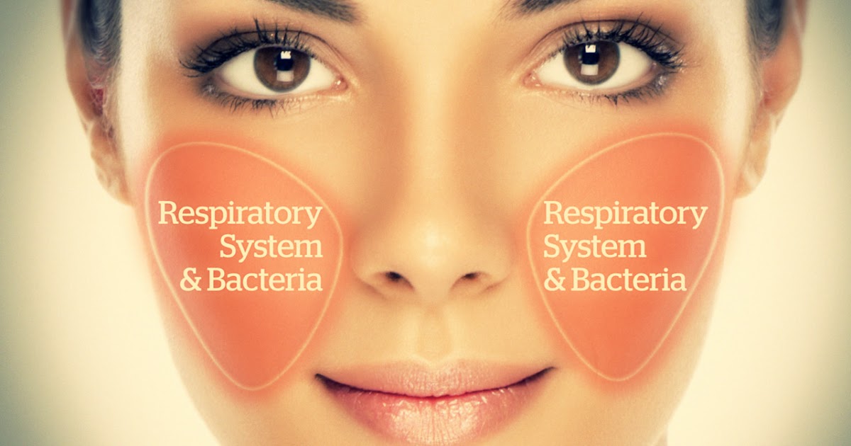 flushed Basics Ideas and Products that Enhance your Cheeks