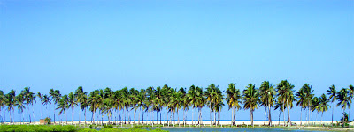 Kitesurf Kalpitiya Lagoon