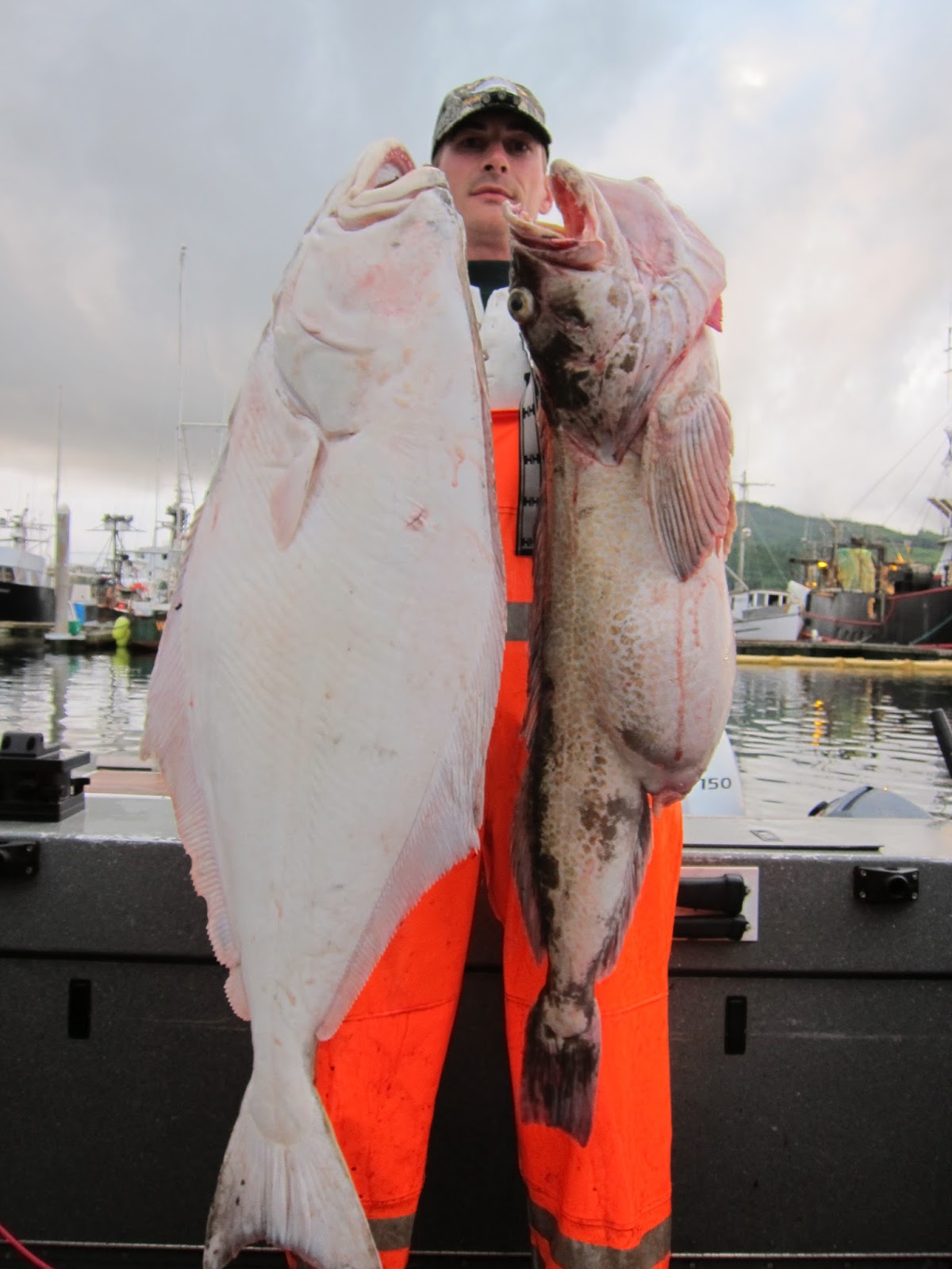 Todds Extreme Fishing Neah Bay halibut, Lingcod, and bottom fish