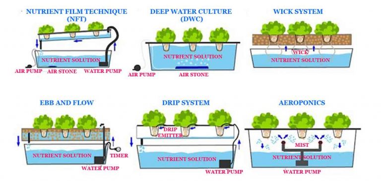 Hidroponik : Pengertian, Manfaat, Dan Cara Menanamnya 4 Hasil gambar untuk Static solution culture
