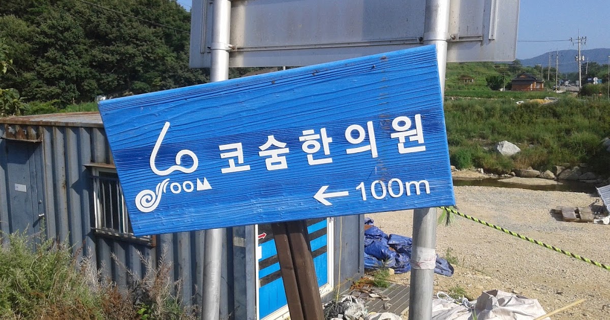 Dr. Lee's Sinus School (Cosoom Oriental Medicine Clinic) Korea's no