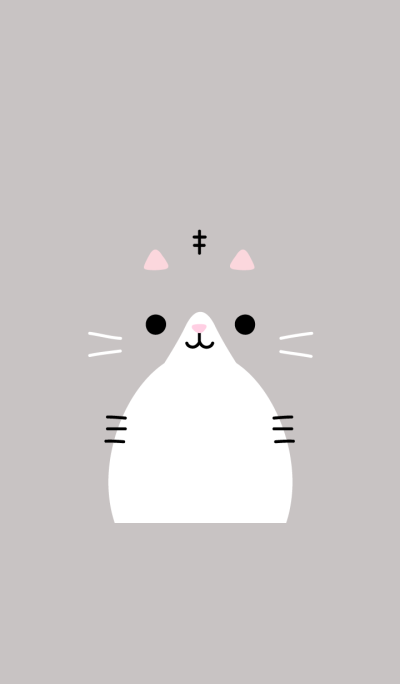 FACE (silver tabby cat)