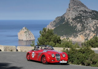 Vogelarten Landeshauptstadt Schwerin