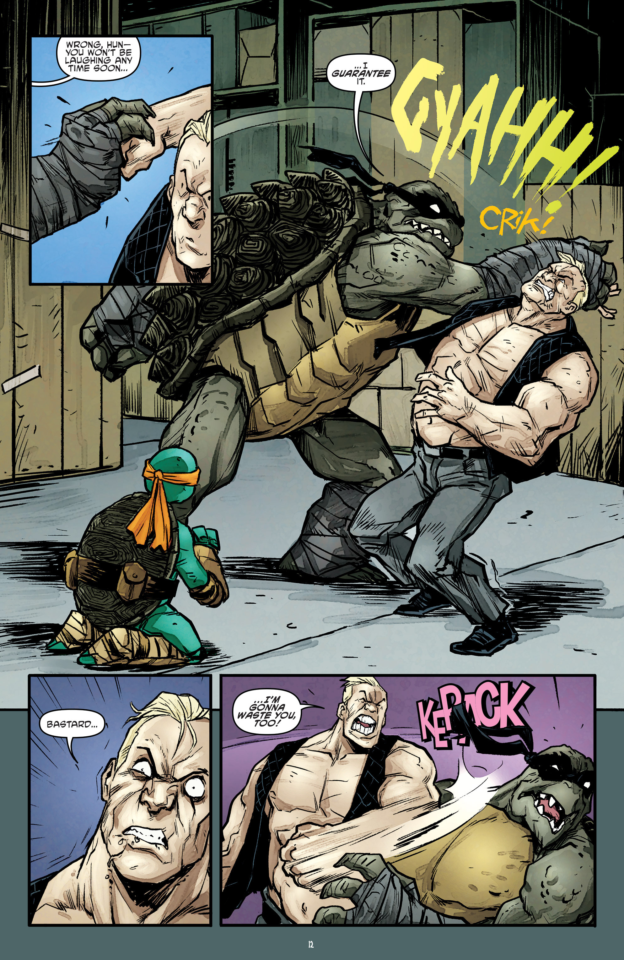 Teenage Mutant Ninja Turtles (2011) issue 54 - Page 13